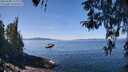 ./images/koeye/fitz-hugh/20260408/fitz-hugh20260408_122002M.jpg