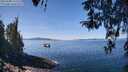./images/koeye/fitz-hugh/20260408/fitz-hugh20260408_122501M.jpg