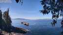 ./images/koeye/fitz-hugh/20260408/fitz-hugh20260408_123501M.jpg