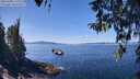 ./images/koeye/fitz-hugh/20260408/fitz-hugh20260408_125501M.jpg