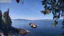 ./images/koeye/fitz-hugh/20260408/fitz-hugh20260408_130501M.jpg