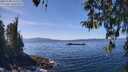 ./images/koeye/fitz-hugh/20260408/fitz-hugh20260408_133501M.jpg