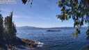 ./images/koeye/fitz-hugh/20260408/fitz-hugh20260408_134001M.jpg
