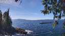 ./images/koeye/fitz-hugh/20260408/fitz-hugh20260408_135001M.jpg