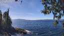 ./images/koeye/fitz-hugh/20260408/fitz-hugh20260408_135501M.jpg