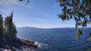 ./images/koeye/fitz-hugh/20260408/fitz-hugh20260408_140002M.jpg