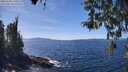 ./images/koeye/fitz-hugh/20260408/fitz-hugh20260408_140501M.jpg