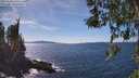 ./images/koeye/fitz-hugh/20260408/fitz-hugh20260408_145501M.jpg