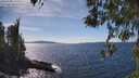 ./images/koeye/fitz-hugh/20260408/fitz-hugh20260408_150501M.jpg