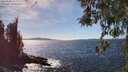 ./images/koeye/fitz-hugh/20260408/fitz-hugh20260408_152001M.jpg