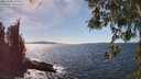 ./images/koeye/fitz-hugh/20260408/fitz-hugh20260408_152501M.jpg