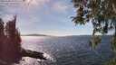 ./images/koeye/fitz-hugh/20260408/fitz-hugh20260408_153001M.jpg