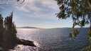 ./images/koeye/fitz-hugh/20260408/fitz-hugh20260408_154001M.jpg