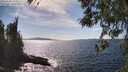 ./images/koeye/fitz-hugh/20260408/fitz-hugh20260408_154501M.jpg
