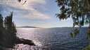 ./images/koeye/fitz-hugh/20260408/fitz-hugh20260408_155001M.jpg