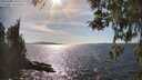 ./images/koeye/fitz-hugh/20260408/fitz-hugh20260408_162502M.jpg