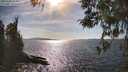 ./images/koeye/fitz-hugh/20260408/fitz-hugh20260408_164001M.jpg