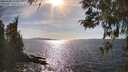 ./images/koeye/fitz-hugh/20260408/fitz-hugh20260408_164502M.jpg