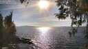 ./images/koeye/fitz-hugh/20260408/fitz-hugh20260408_171001M.jpg