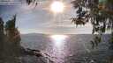 ./images/koeye/fitz-hugh/20260408/fitz-hugh20260408_172001M.jpg
