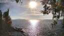 ./images/koeye/fitz-hugh/20260408/fitz-hugh20260408_172501M.jpg