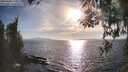 ./images/koeye/fitz-hugh/20260408/fitz-hugh20260408_180001M.jpg
