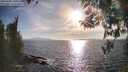 ./images/koeye/fitz-hugh/20260408/fitz-hugh20260408_180501M.jpg