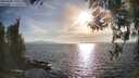 ./images/koeye/fitz-hugh/20260408/fitz-hugh20260408_181001M.jpg