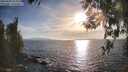 ./images/koeye/fitz-hugh/20260408/fitz-hugh20260408_182001M.jpg