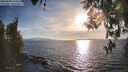 ./images/koeye/fitz-hugh/20260408/fitz-hugh20260408_182502M.jpg