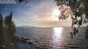 ./images/koeye/fitz-hugh/20260408/fitz-hugh20260408_183002M.jpg