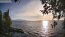 ./images/koeye/fitz-hugh/20260408/fitz-hugh20260408_185002M.jpg