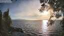 ./images/koeye/fitz-hugh/20260408/fitz-hugh20260408_185501M.jpg