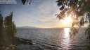./images/koeye/fitz-hugh/20260408/fitz-hugh20260408_191501M.jpg