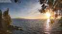 ./images/koeye/fitz-hugh/20260408/fitz-hugh20260408_193502M.jpg