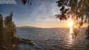 ./images/koeye/fitz-hugh/20260408/fitz-hugh20260408_194501M.jpg