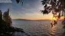 ./images/koeye/fitz-hugh/20260408/fitz-hugh20260408_200001M.jpg