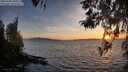 ./images/koeye/fitz-hugh/20260408/fitz-hugh20260408_200502M.jpg
