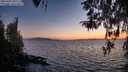 ./images/koeye/fitz-hugh/20260408/fitz-hugh20260408_202501M.jpg