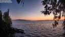 ./images/koeye/fitz-hugh/20260408/fitz-hugh20260408_203001M.jpg