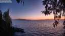 ./images/koeye/fitz-hugh/20260408/fitz-hugh20260408_204001M.jpg