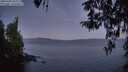 ./images/koeye/fitz-hugh/20260409/fitz-hugh20260409_062001M.jpg