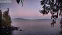 ./images/koeye/fitz-hugh/20260409/fitz-hugh20260409_064001M.jpg