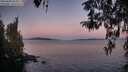 ./images/koeye/fitz-hugh/20260409/fitz-hugh20260409_064501M.jpg