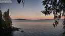 ./images/koeye/fitz-hugh/20260409/fitz-hugh20260409_065501M.jpg