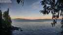 ./images/koeye/fitz-hugh/20260409/fitz-hugh20260409_072502M.jpg