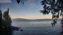 ./images/koeye/fitz-hugh/20260409/fitz-hugh20260409_073001M.jpg