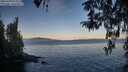 ./images/koeye/fitz-hugh/20260409/fitz-hugh20260409_073502M.jpg