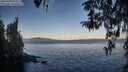 ./images/koeye/fitz-hugh/20260409/fitz-hugh20260409_074001M.jpg