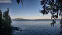 ./images/koeye/fitz-hugh/20260409/fitz-hugh20260409_075001M.jpg